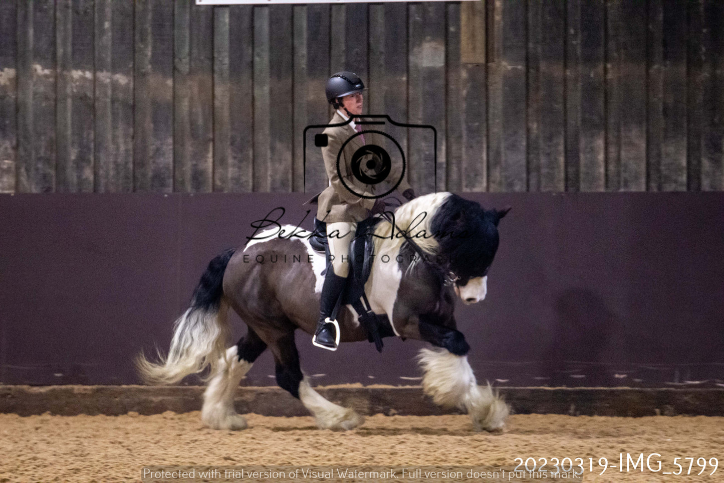 Home Farm Showing 19th March (Ridden) Pt 1