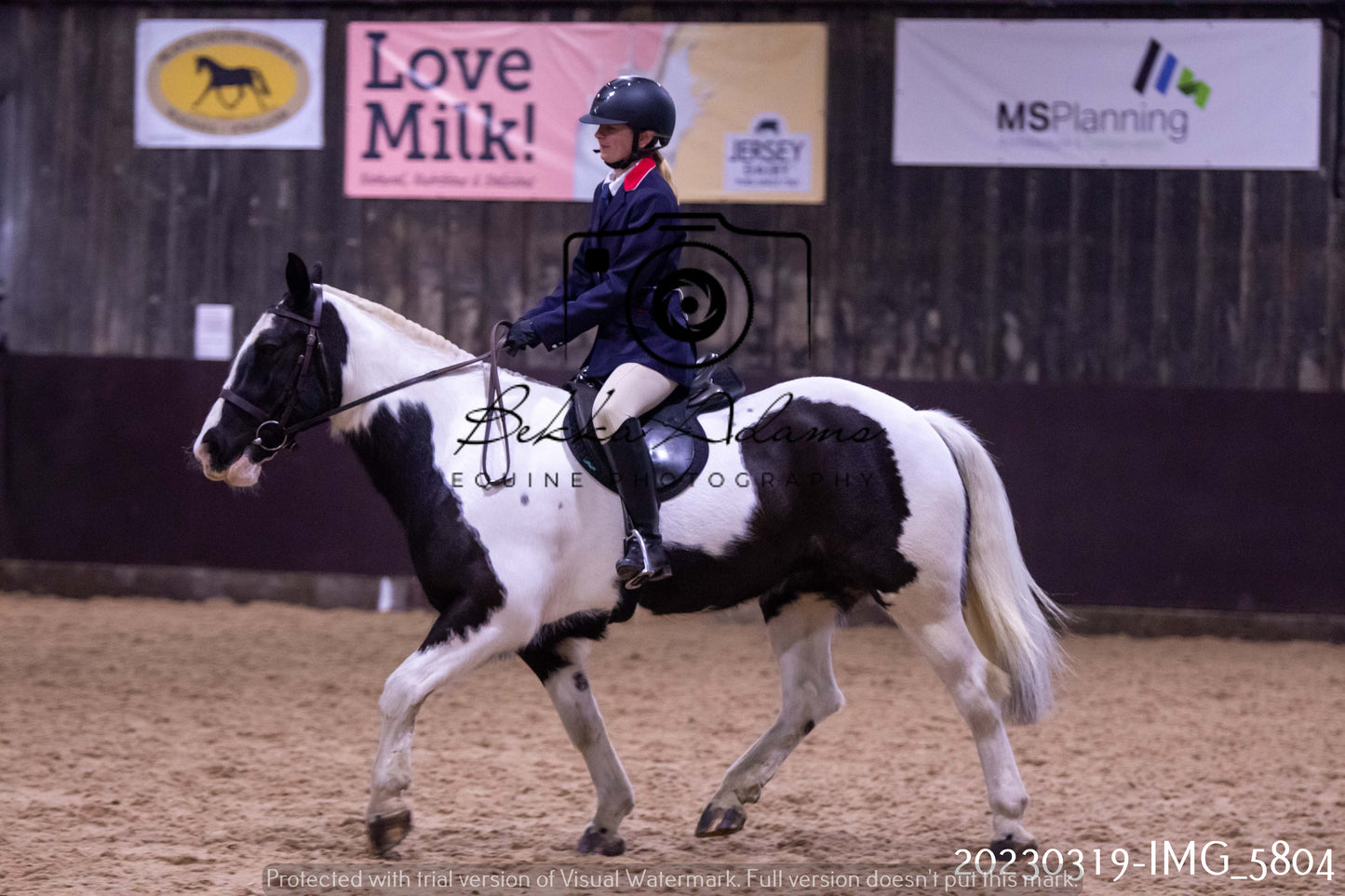 Home Farm Showing 19th March (Ridden) Pt 1
