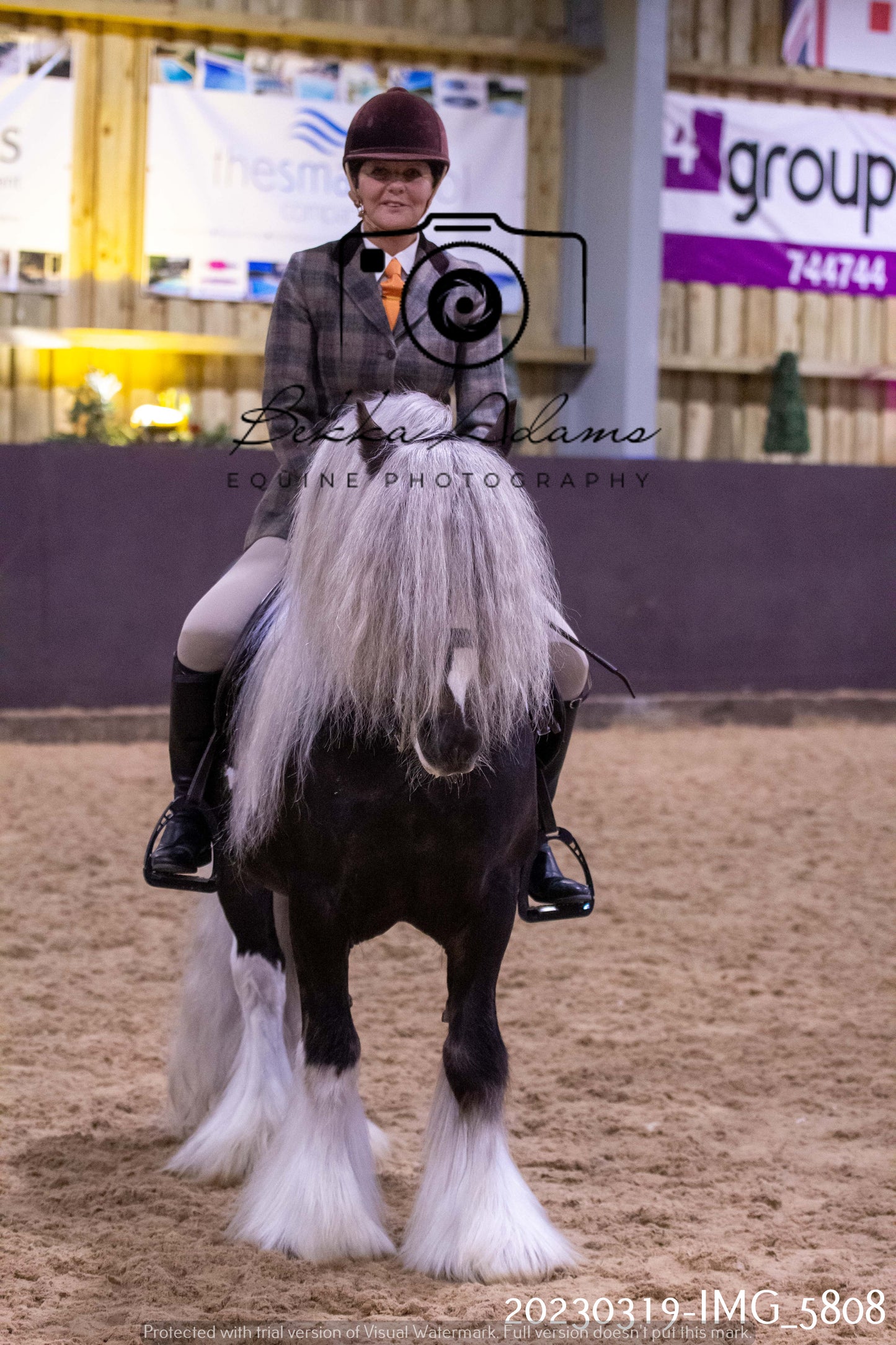 Home Farm Showing 19th March (Ridden) Pt 1