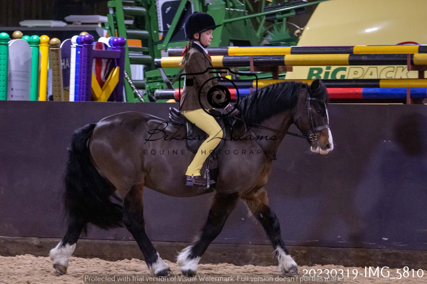 Home Farm Showing 19th March (Ridden) Pt 1