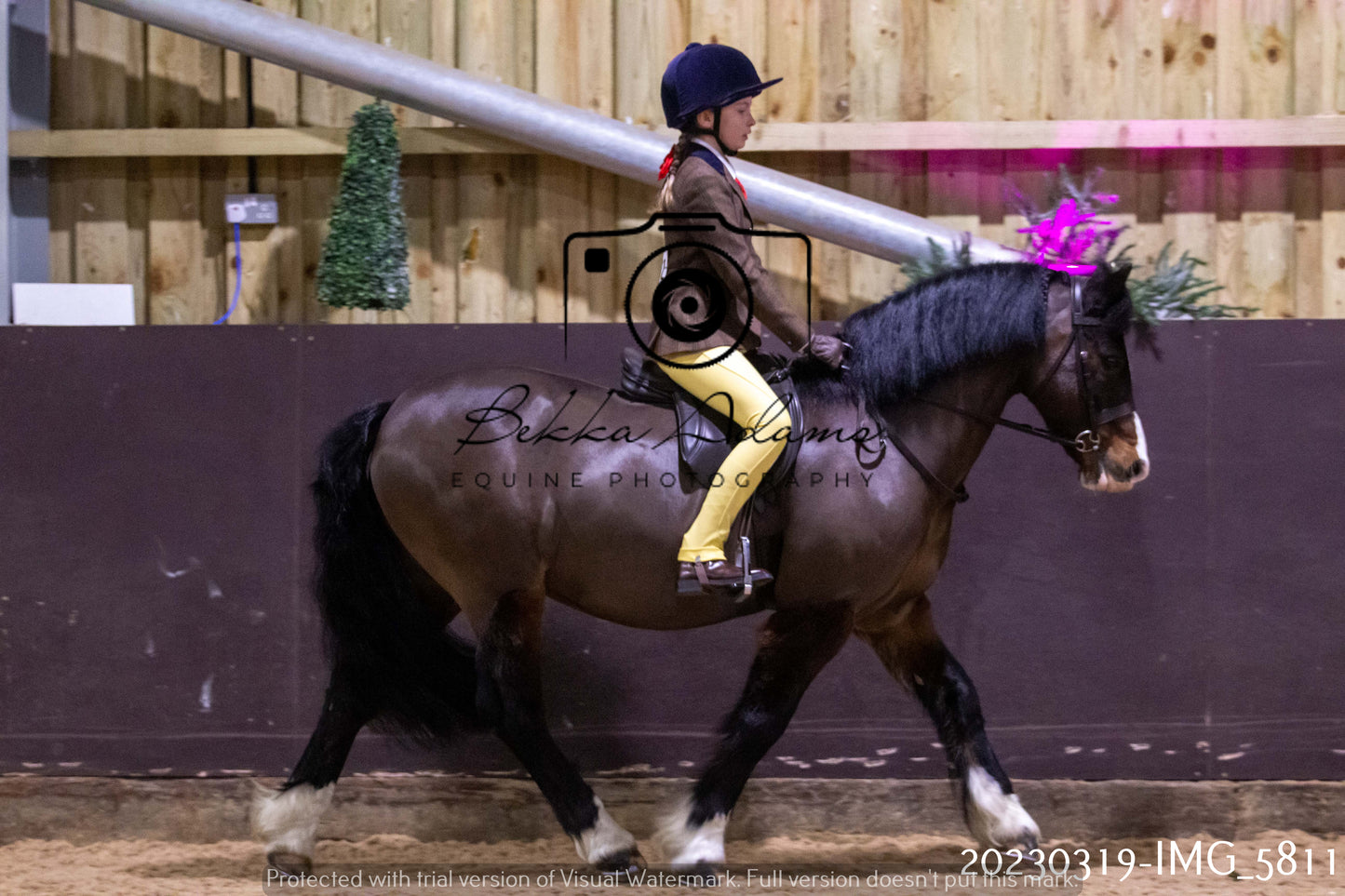 Home Farm Showing 19th March (Ridden) Pt 1