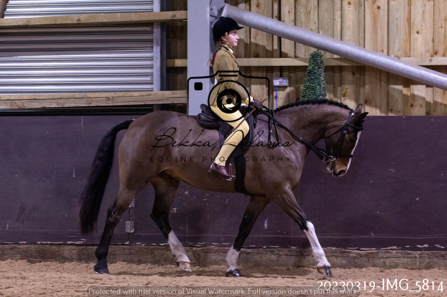 Home Farm Showing 19th March (Ridden) Pt 1