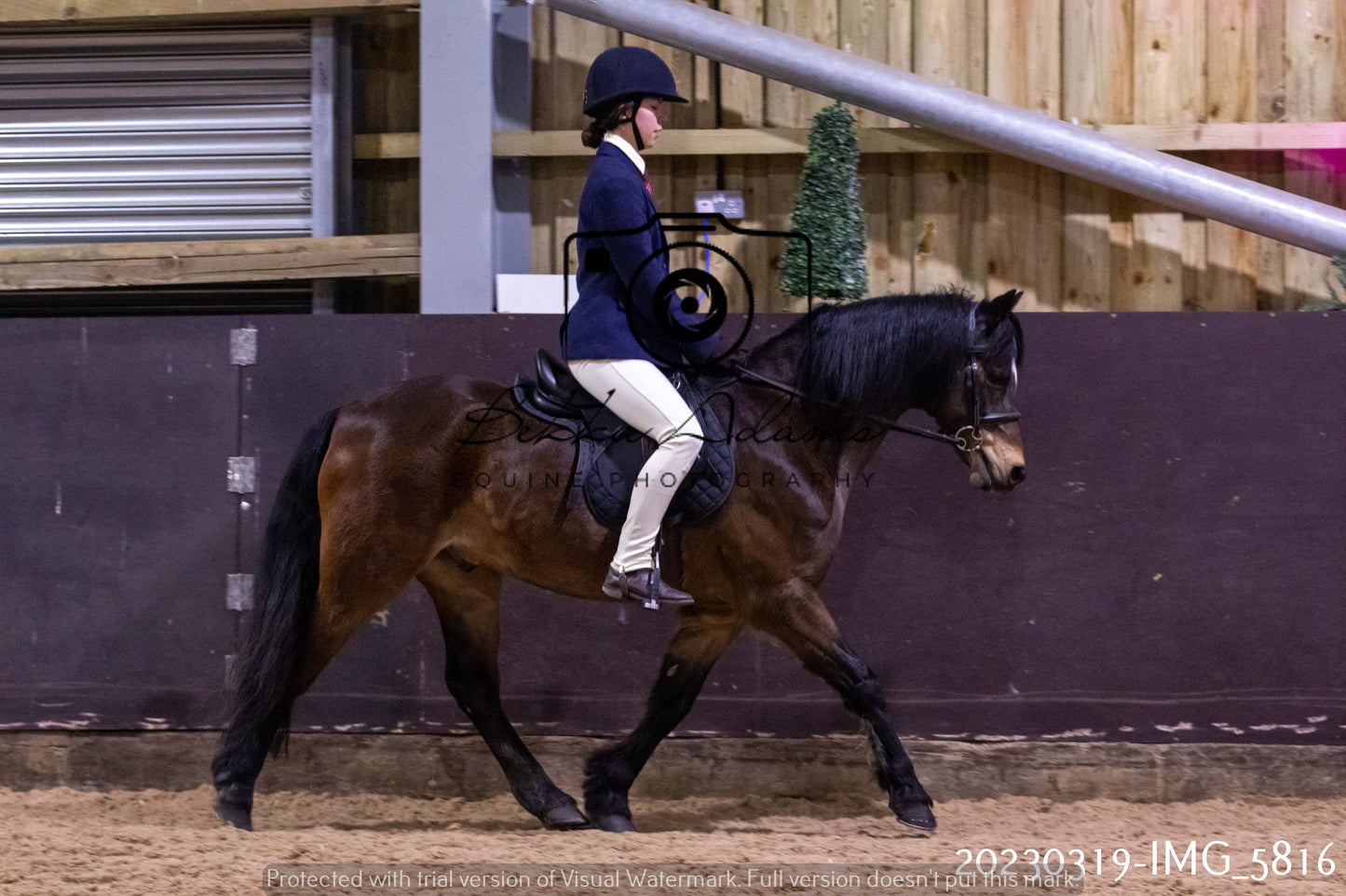 Home Farm Showing 19th March (Ridden) Pt 1