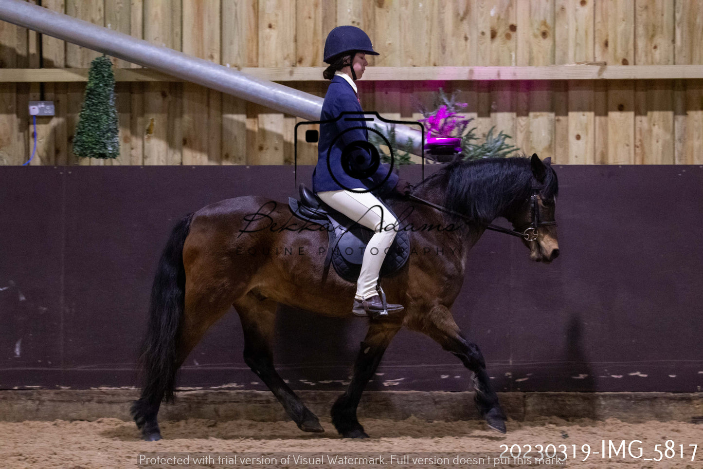 Home Farm Showing 19th March (Ridden) Pt 1