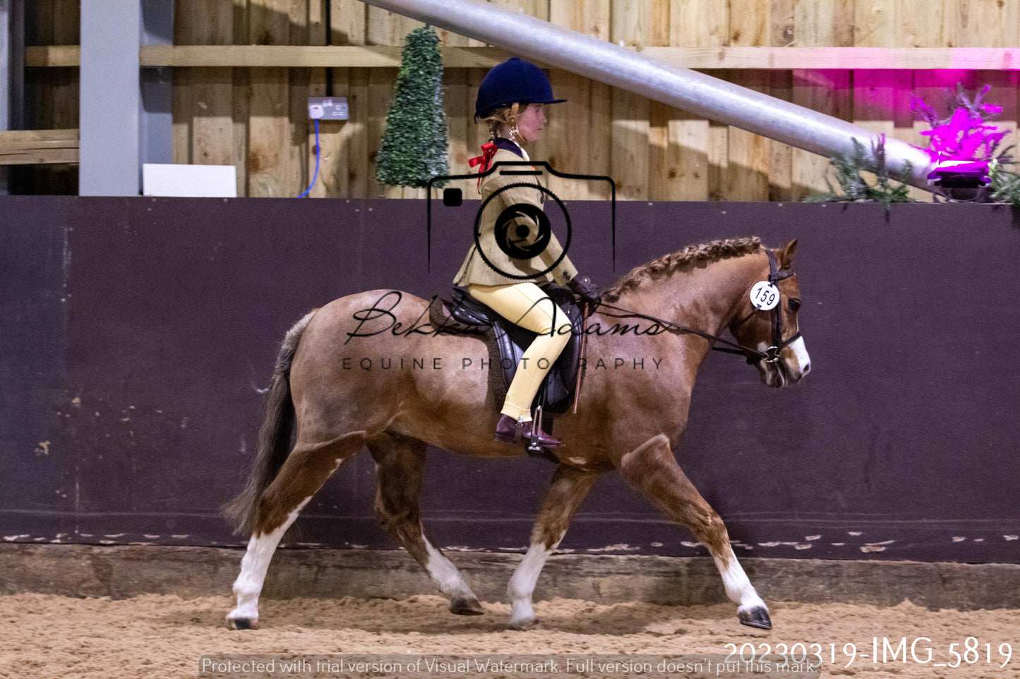 Home Farm Showing 19th March (Ridden) Pt 1