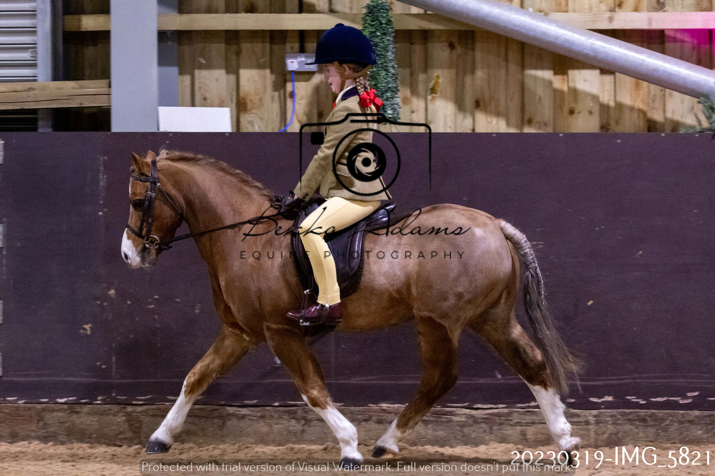Home Farm Showing 19th March (Ridden) Pt 1