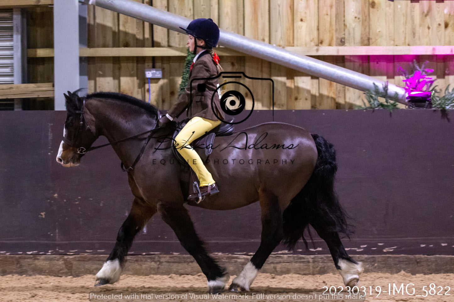 Home Farm Showing 19th March (Ridden) Pt 1