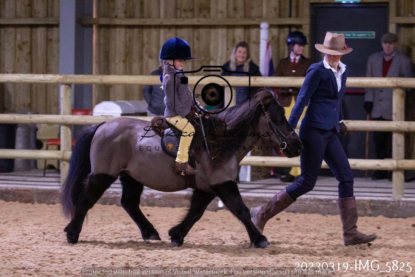 Home Farm Showing 19th March (Ridden) Pt 1