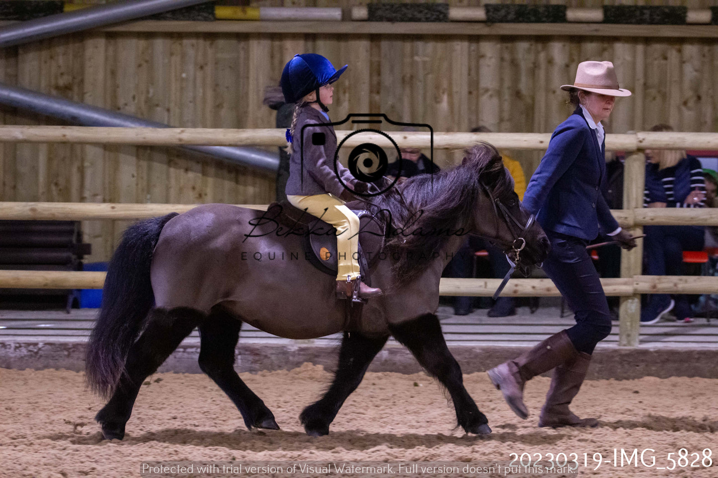 Home Farm Showing 19th March (Ridden) Pt 1