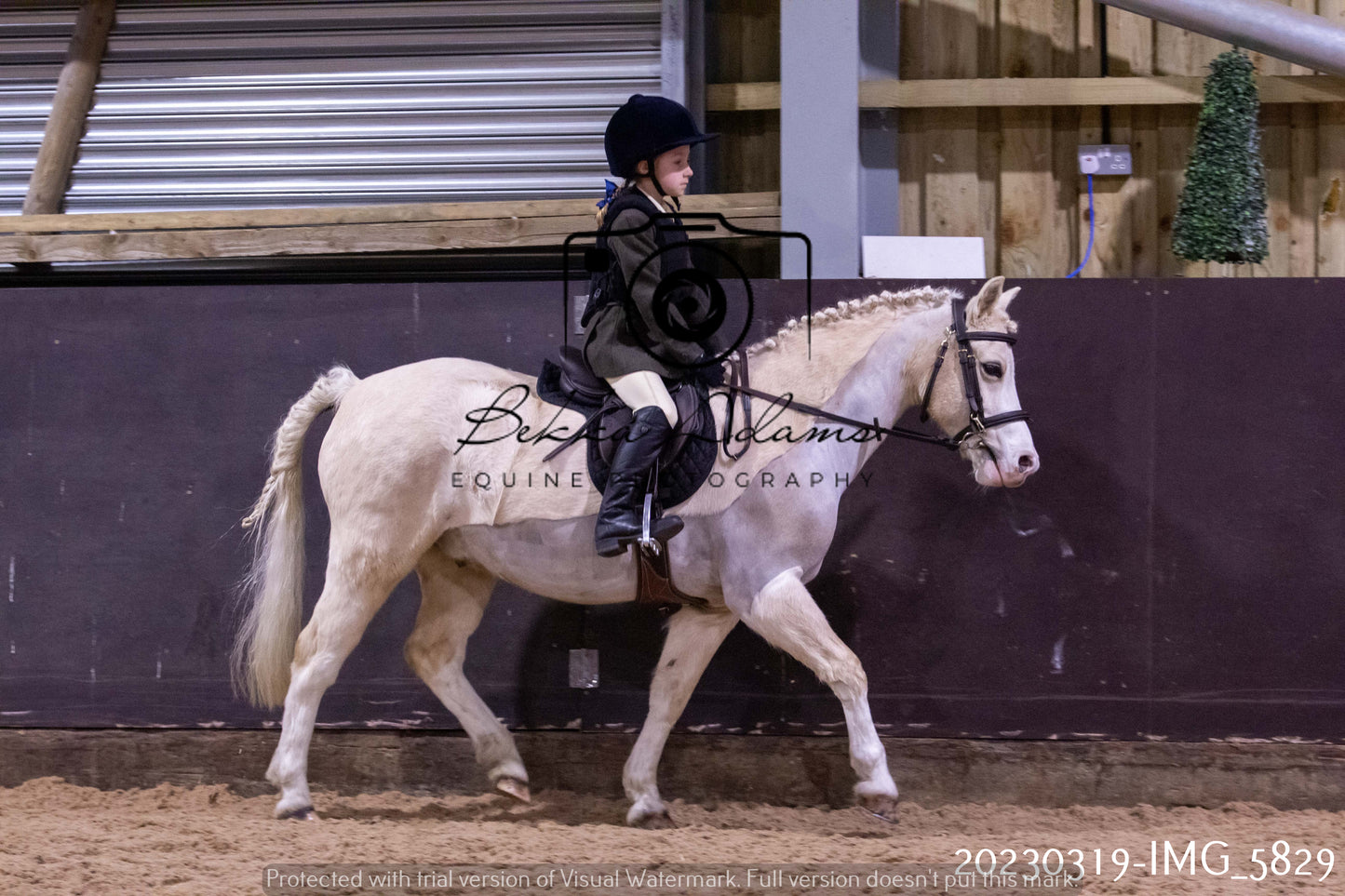 Home Farm Showing 19th March (Ridden) Pt 1