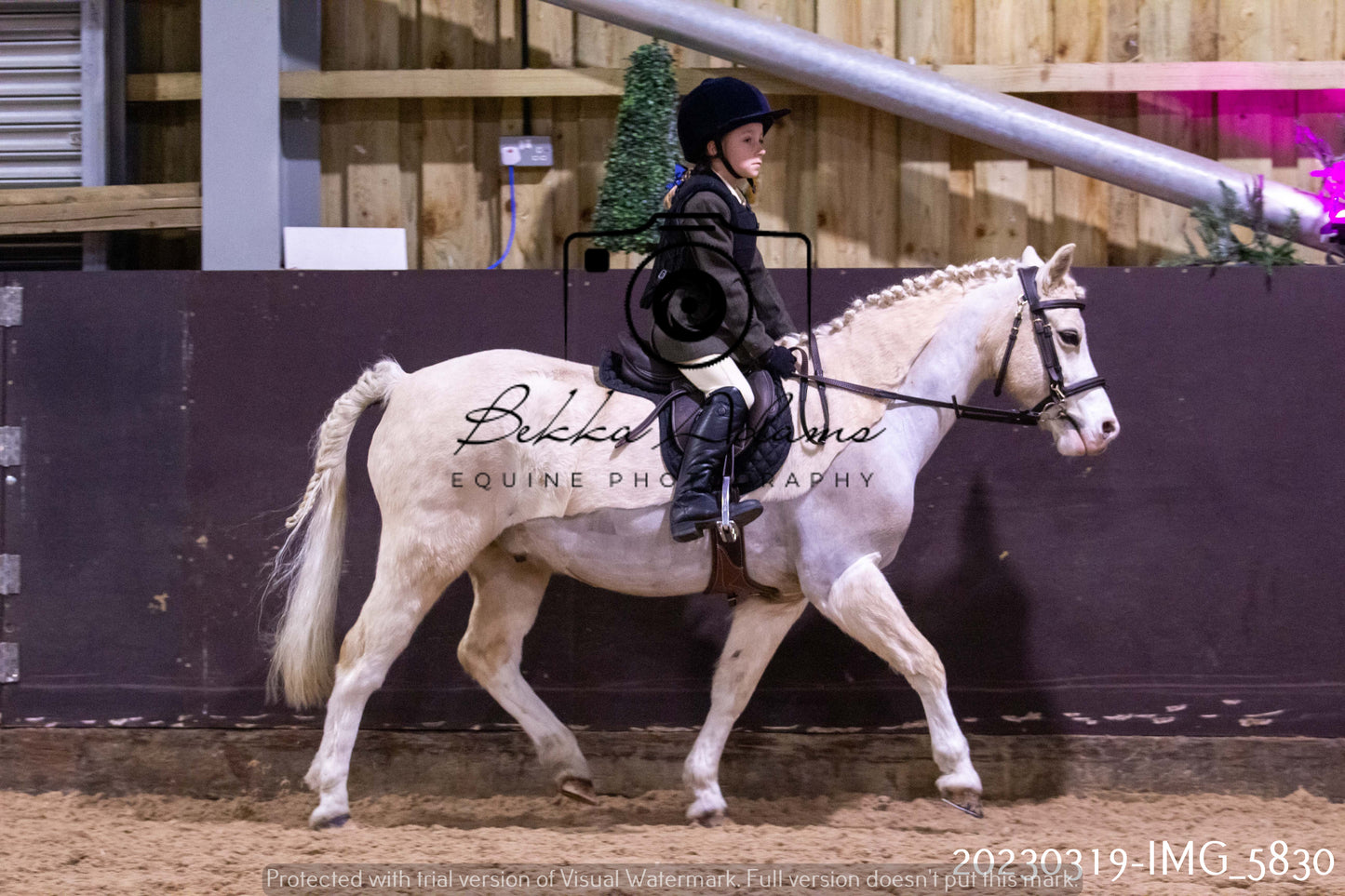 Home Farm Showing 19th March (Ridden) Pt 1