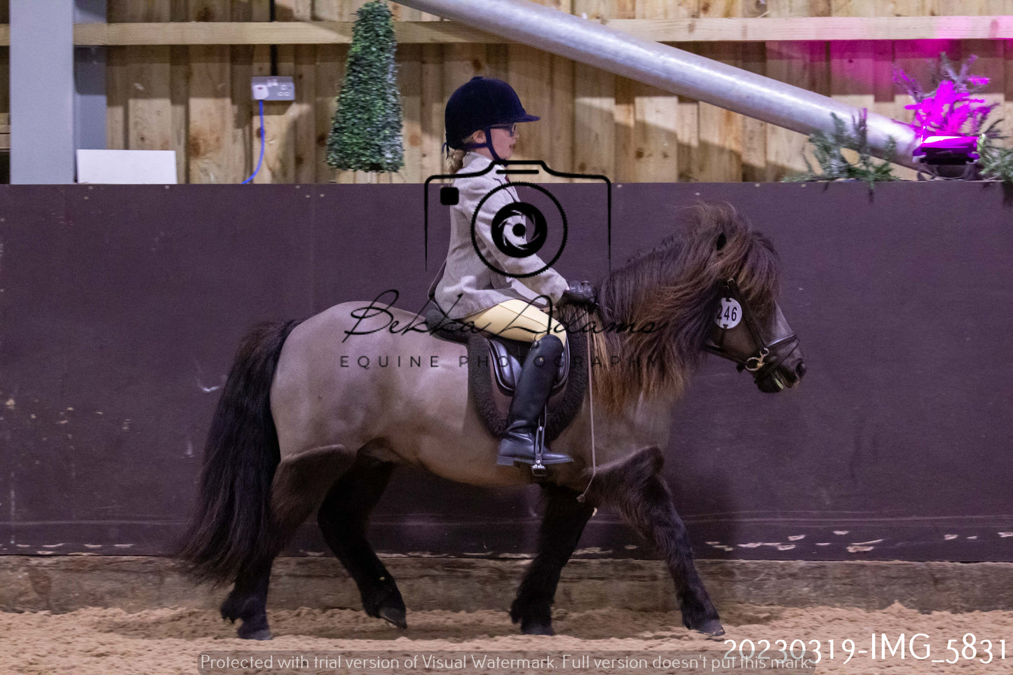 Home Farm Showing 19th March (Ridden) Pt 1