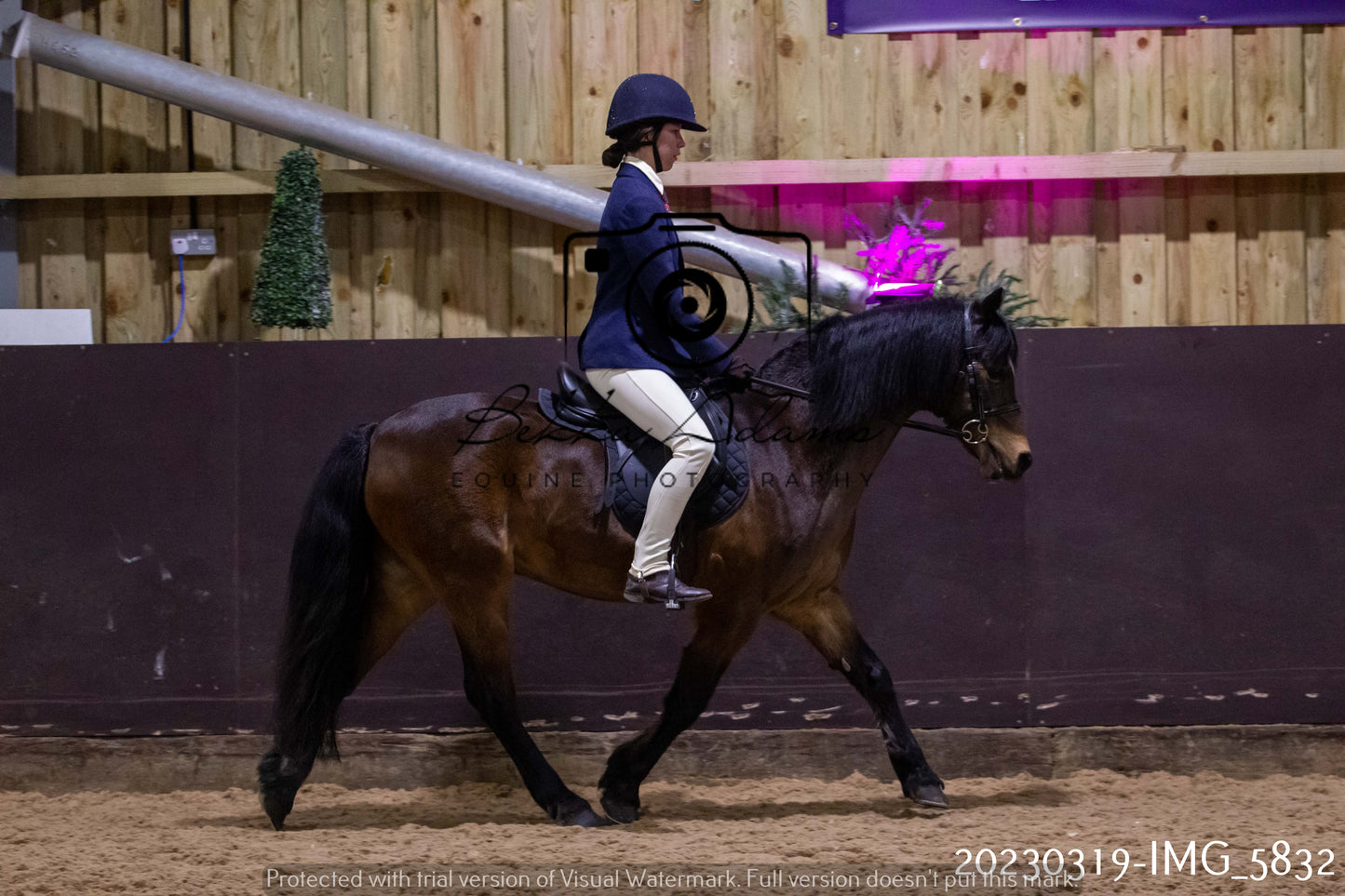 Home Farm Showing 19th March (Ridden) Pt 1