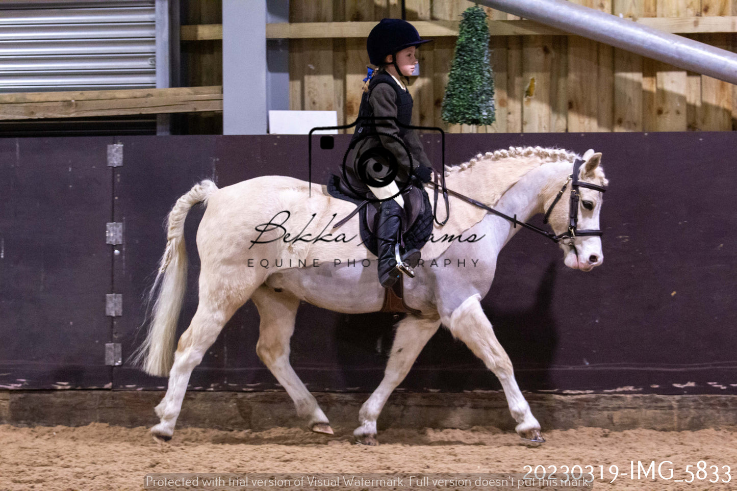 Home Farm Showing 19th March (Ridden) Pt 1