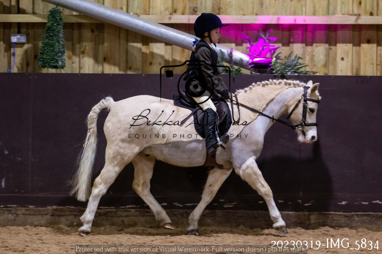 Home Farm Showing 19th March (Ridden) Pt 1