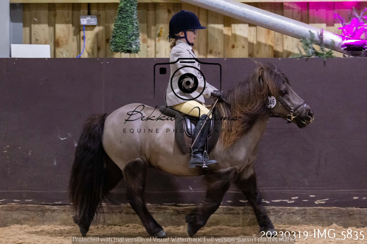 Home Farm Showing 19th March (Ridden) Pt 1