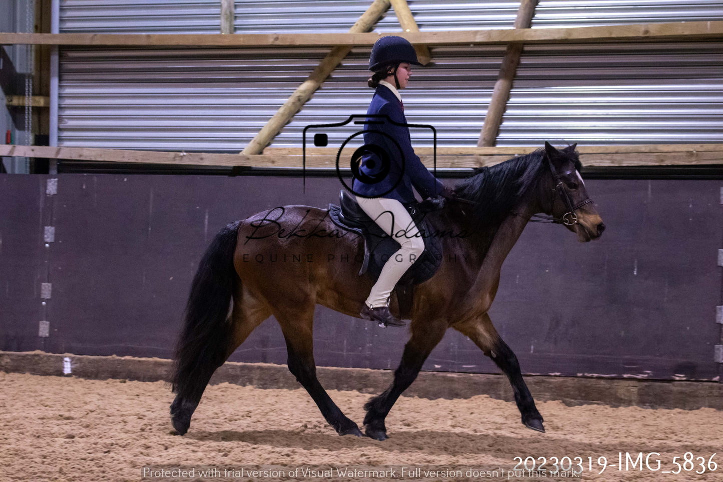 Home Farm Showing 19th March (Ridden) Pt 1