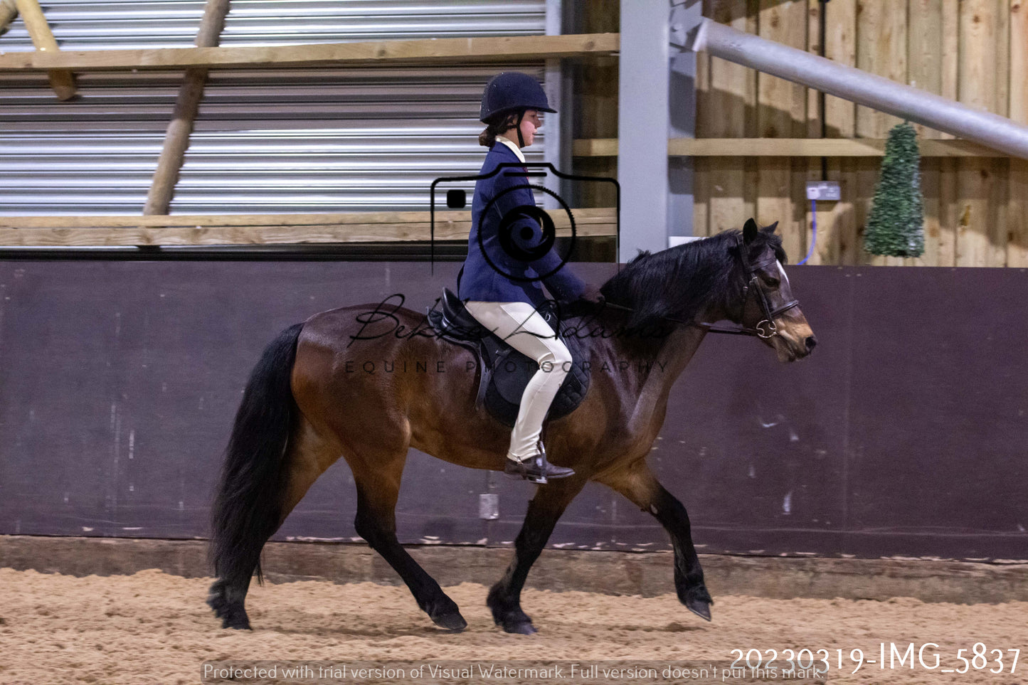 Home Farm Showing 19th March (Ridden) Pt 1