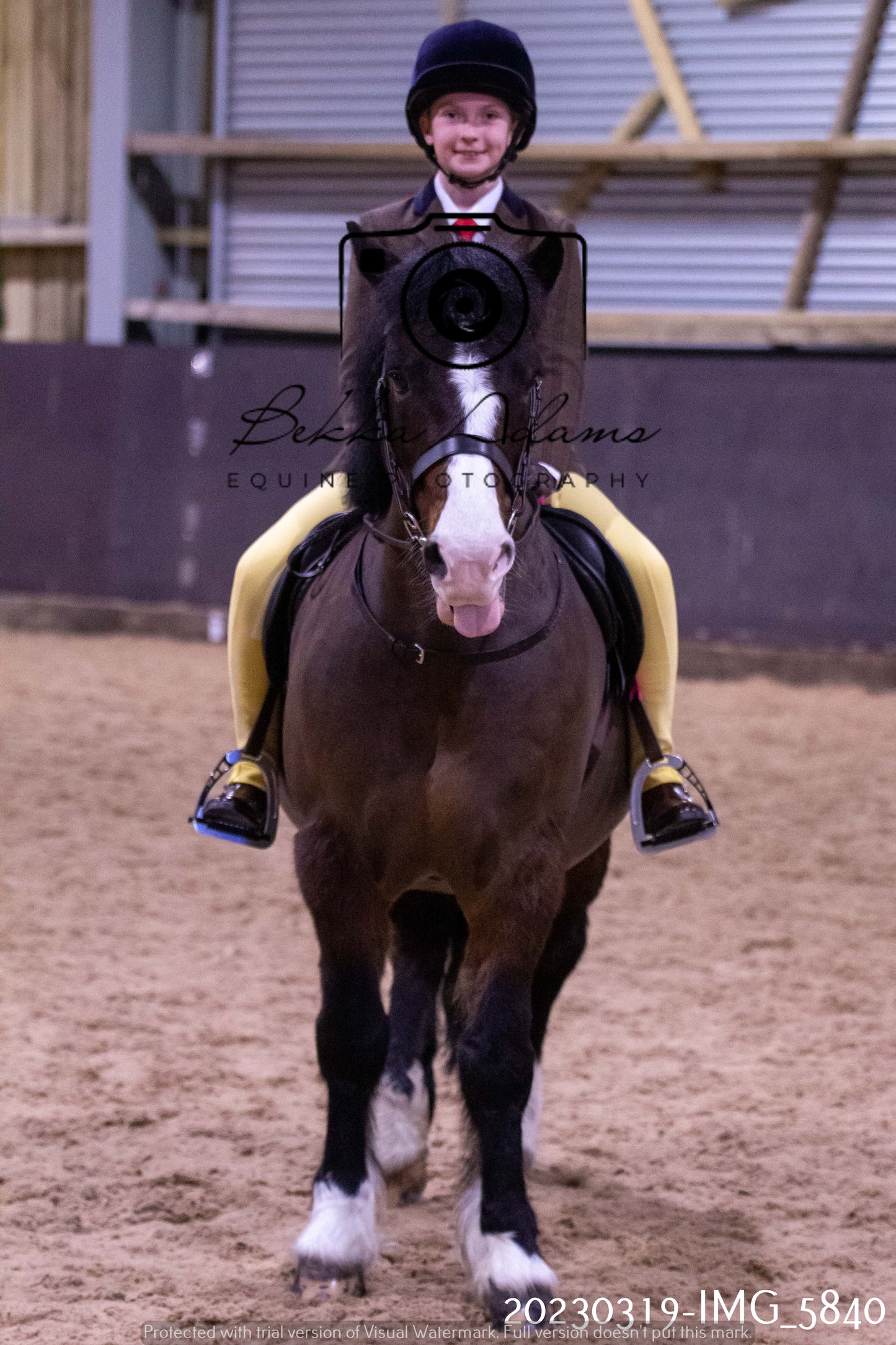 Home Farm Showing 19th March (Ridden) Pt 1