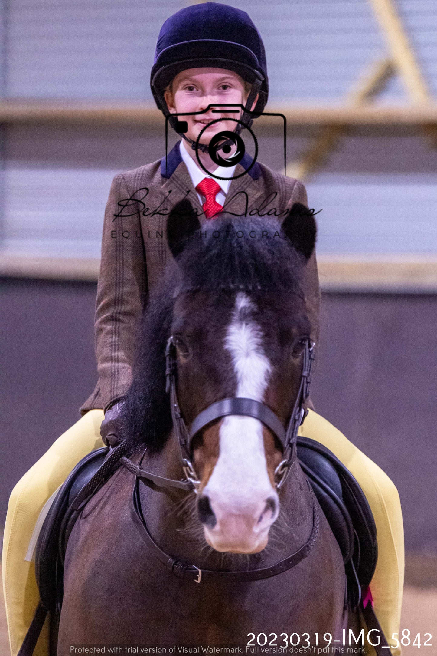 Home Farm Showing 19th March (Ridden) Pt 1