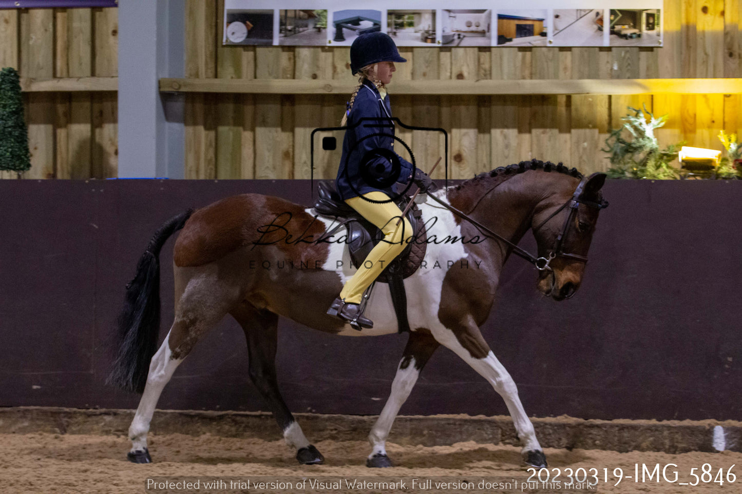 Home Farm Showing 19th March (Ridden) Pt 1