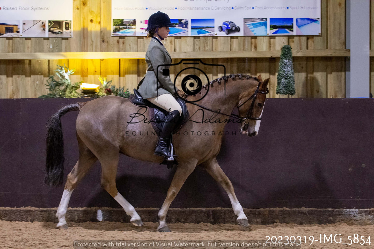 Home Farm Showing 19th March (Ridden) Pt 1