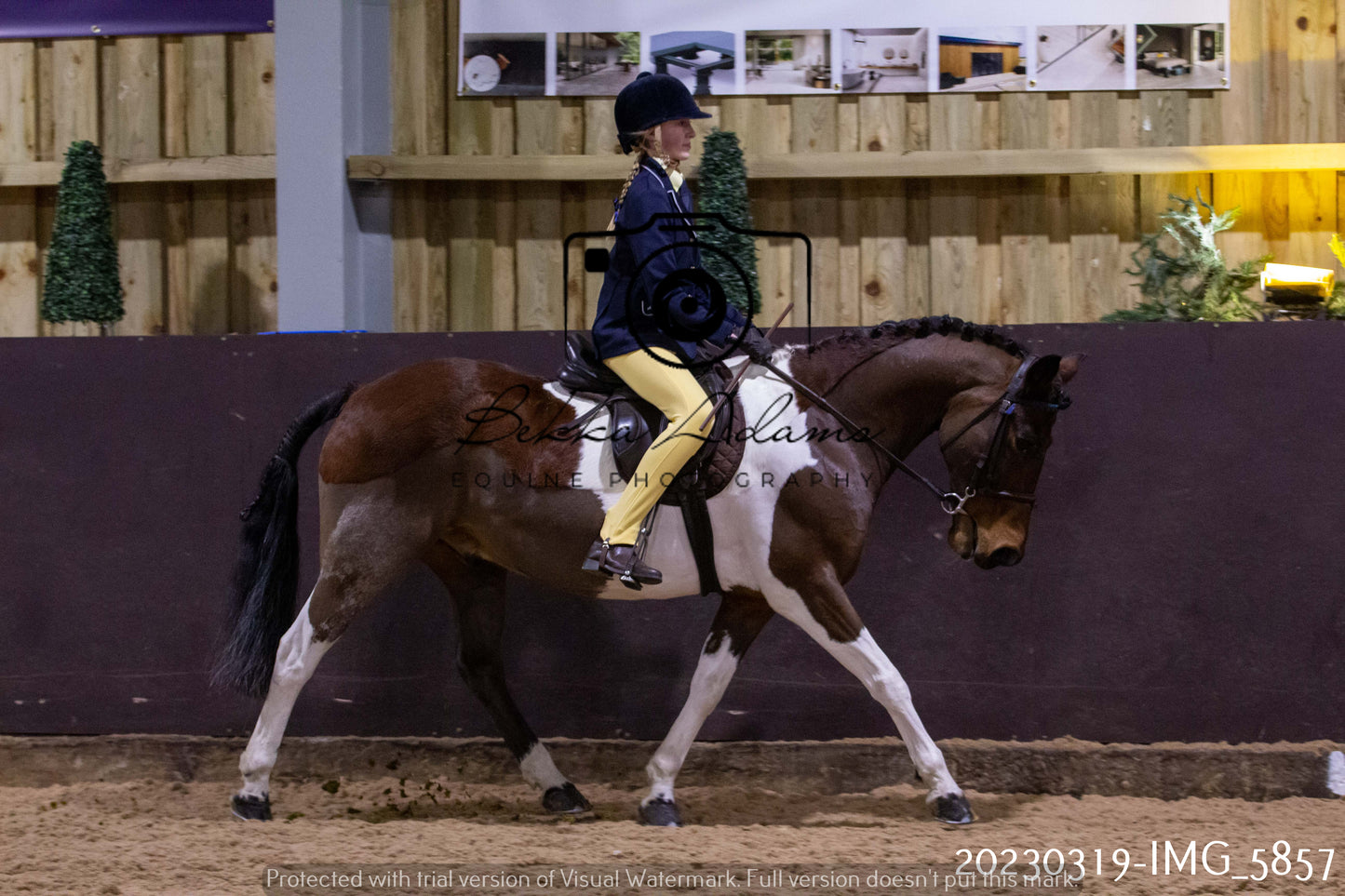 Home Farm Showing 19th March (Ridden) Pt 1