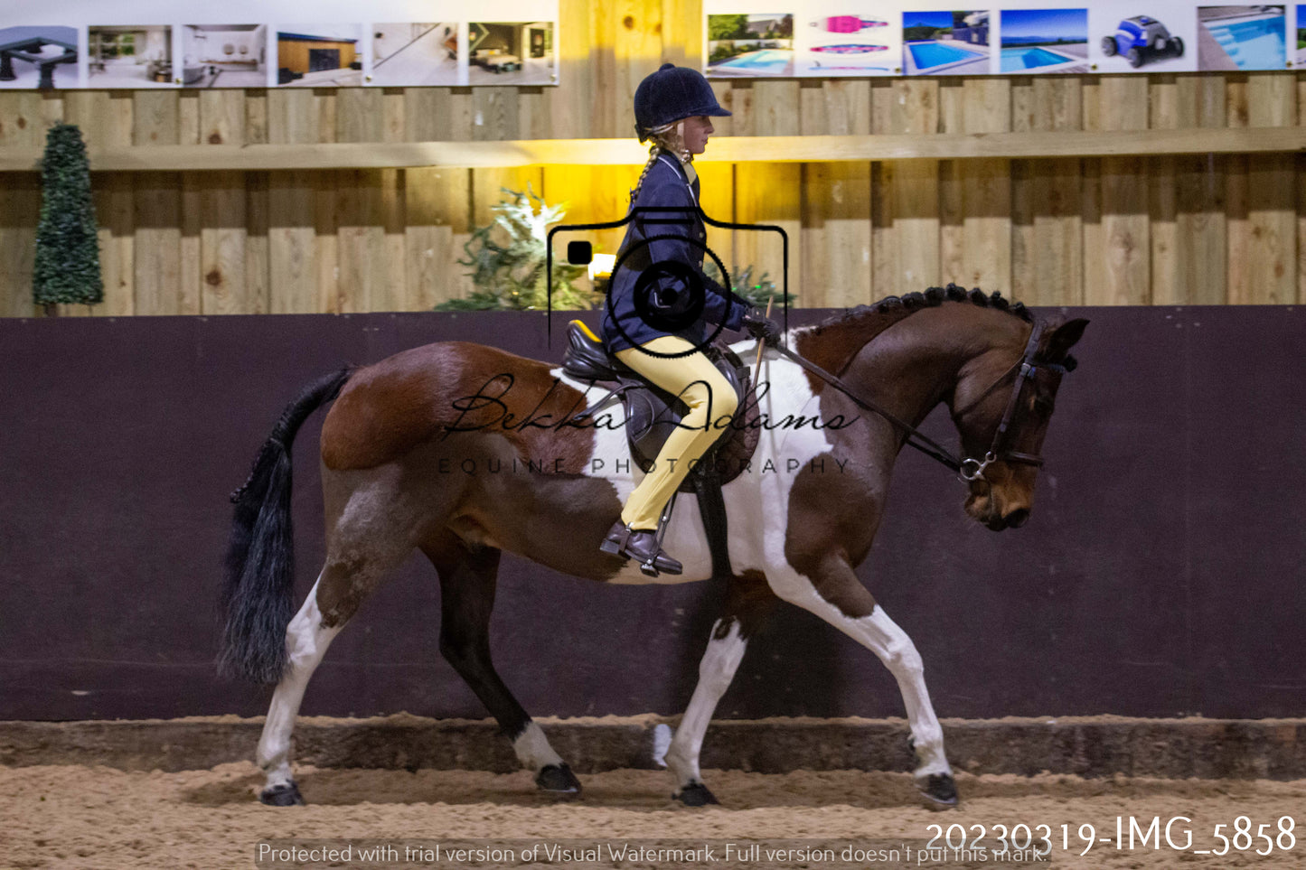 Home Farm Showing 19th March (Ridden) Pt 1