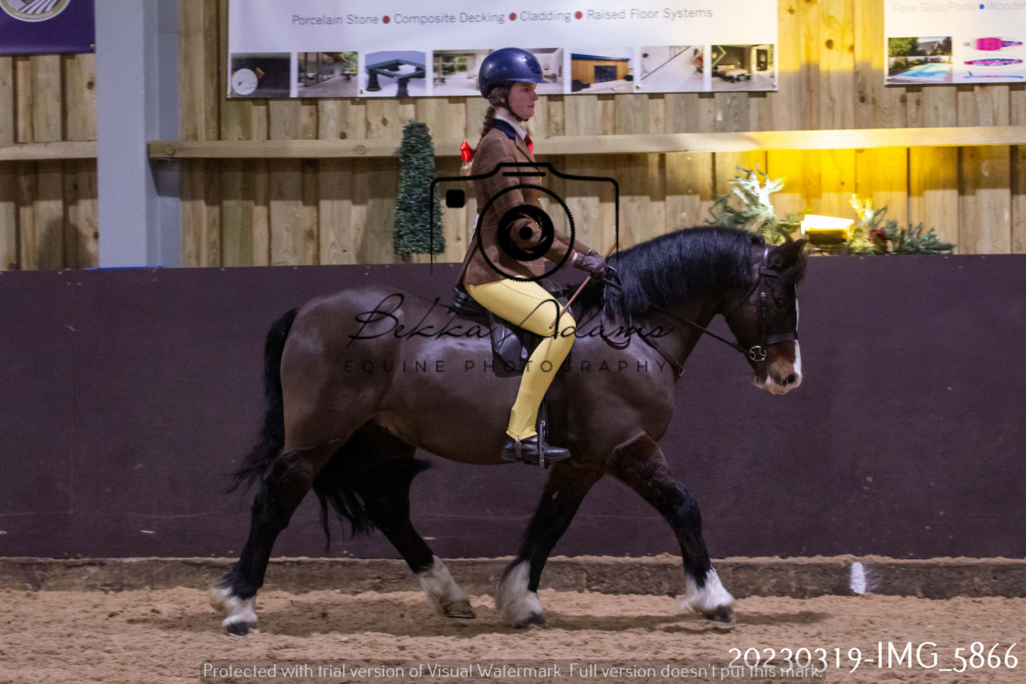 Home Farm Showing 19th March (Ridden) Pt 1