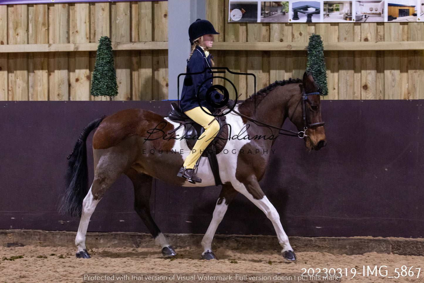 Home Farm Showing 19th March (Ridden) Pt 1