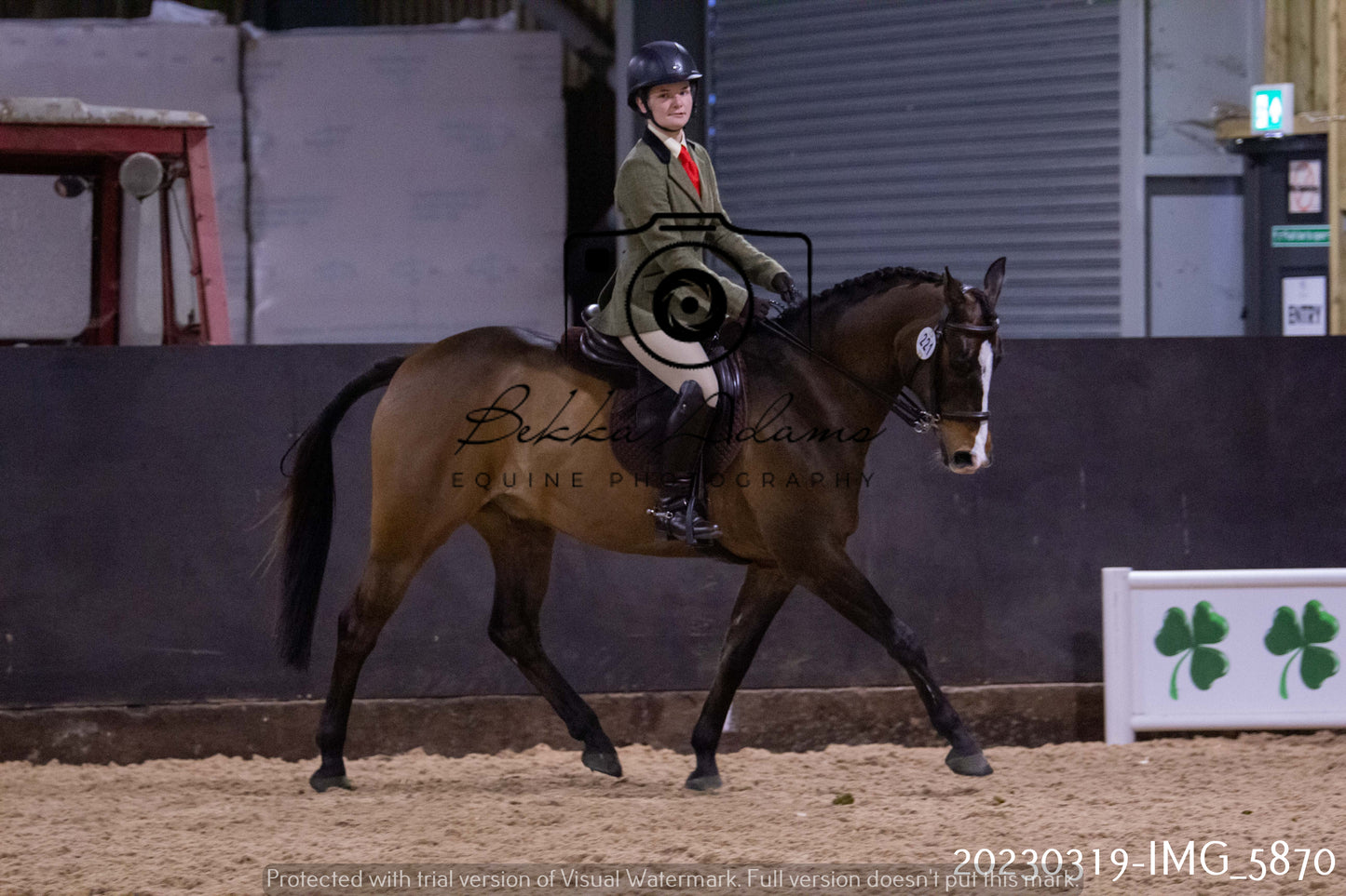 Home Farm Showing 19th March (Ridden) Pt 1