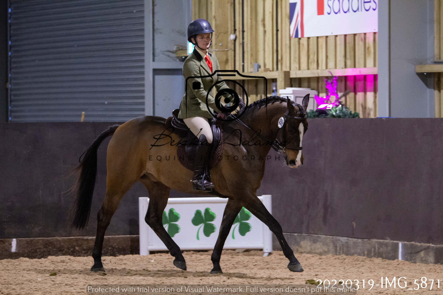 Home Farm Showing 19th March (Ridden) Pt 1