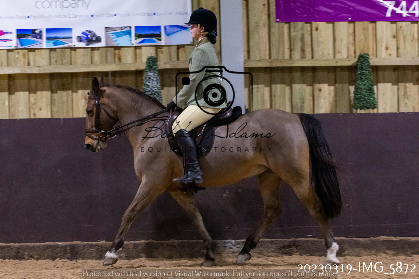 Home Farm Showing 19th March (Ridden) Pt 1