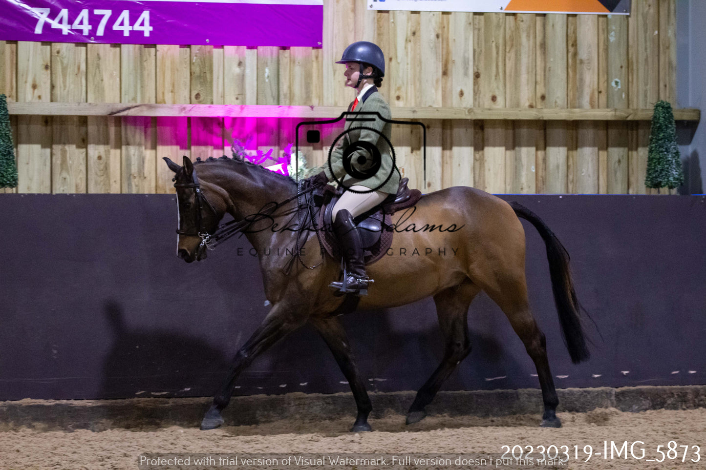 Home Farm Showing 19th March (Ridden) Pt 1