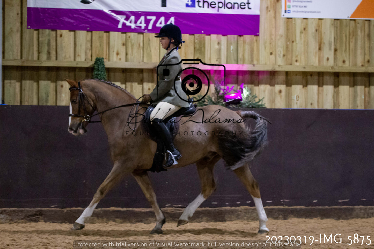 Home Farm Showing 19th March (Ridden) Pt 1