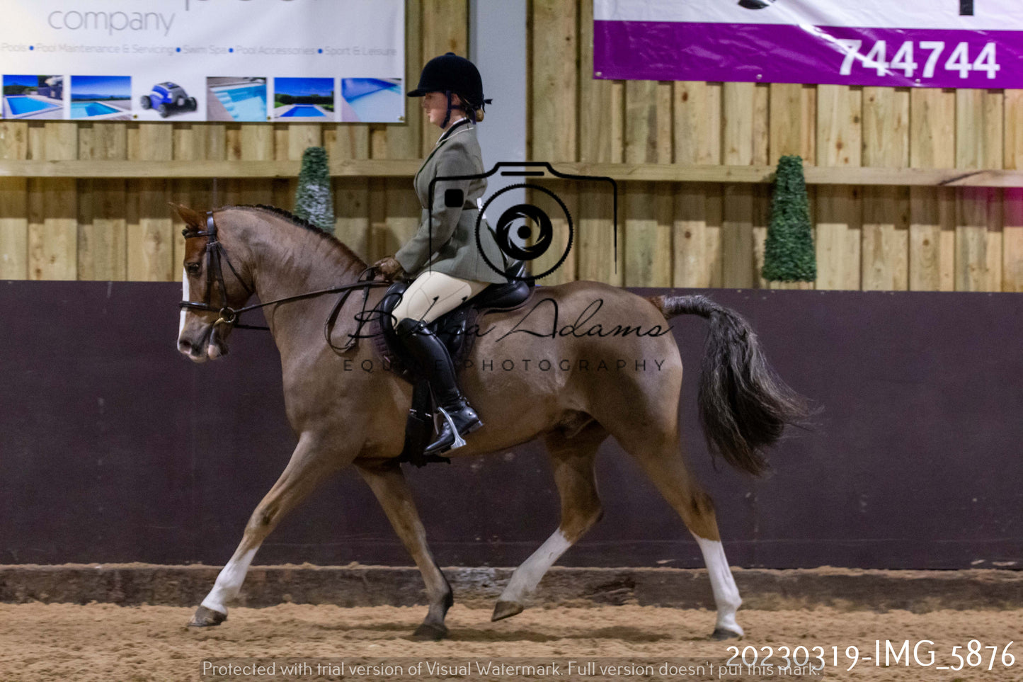 Home Farm Showing 19th March (Ridden) Pt 1