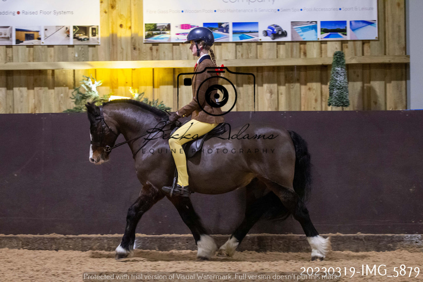 Home Farm Showing 19th March (Ridden) Pt 1