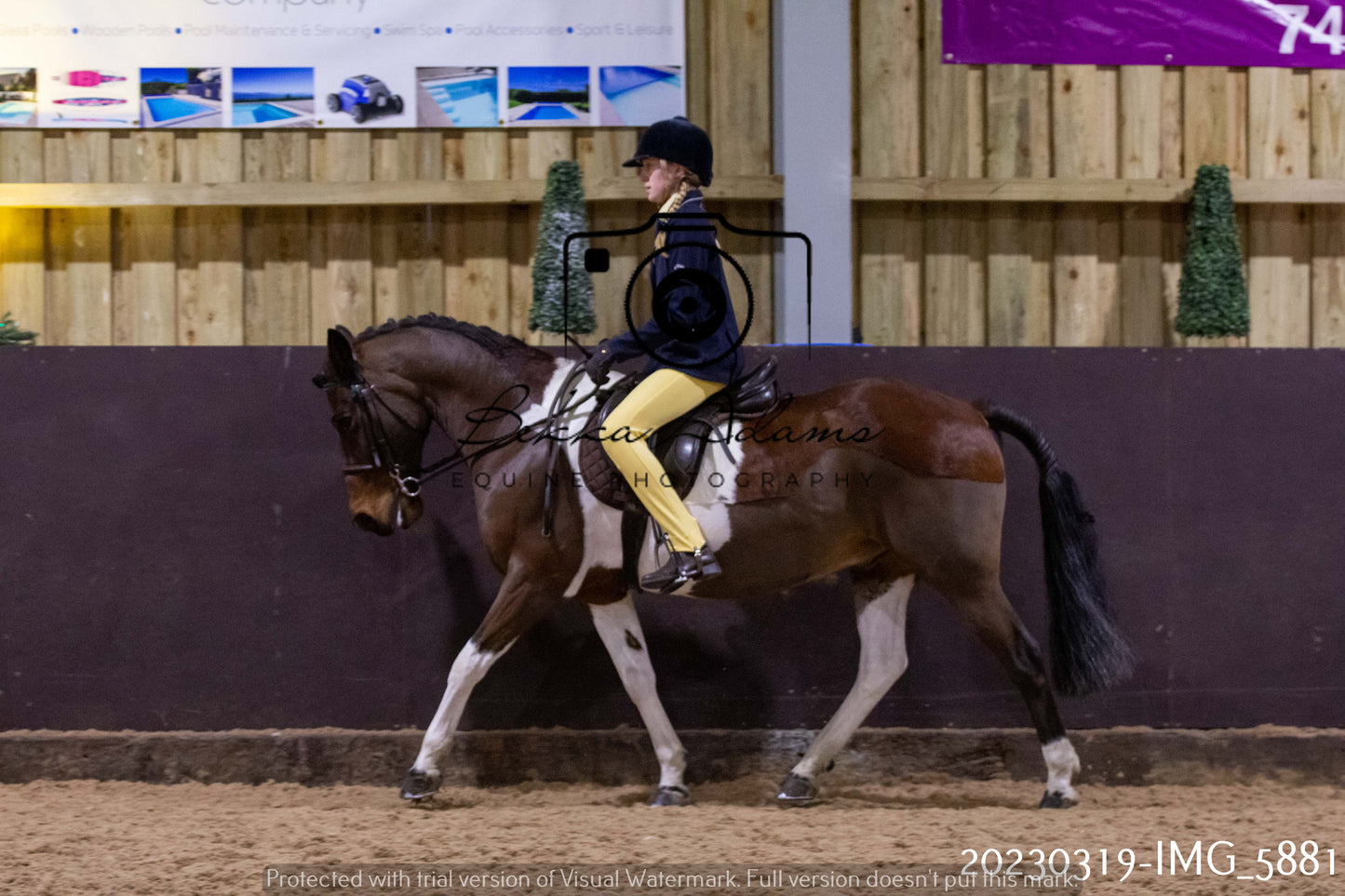 Home Farm Showing 19th March (Ridden) Pt 1