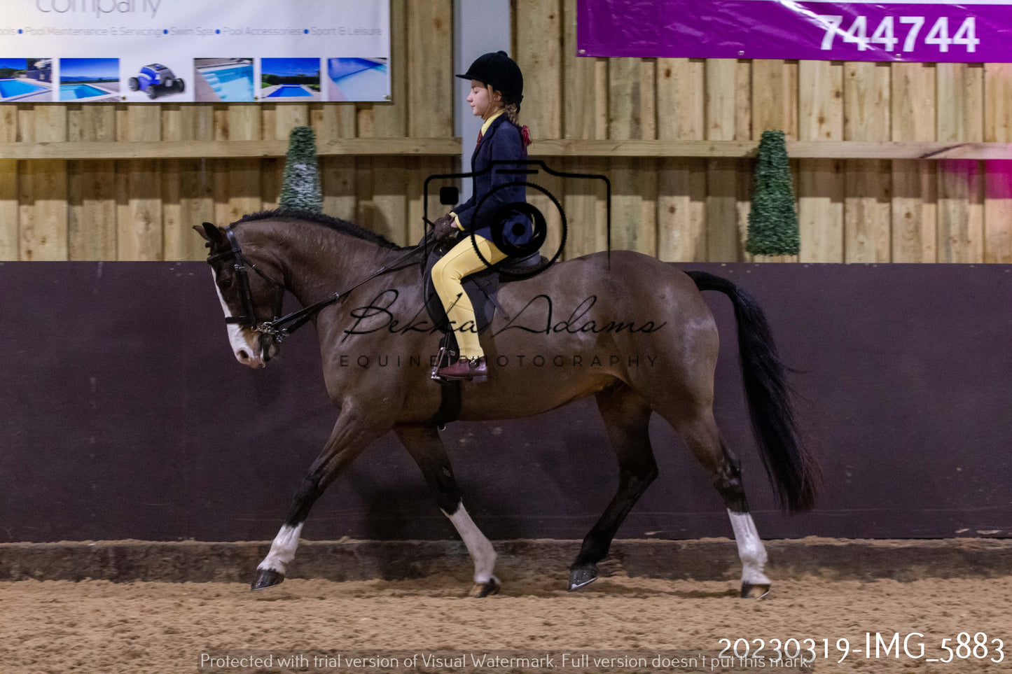 Home Farm Showing 19th March (Ridden) Pt 1
