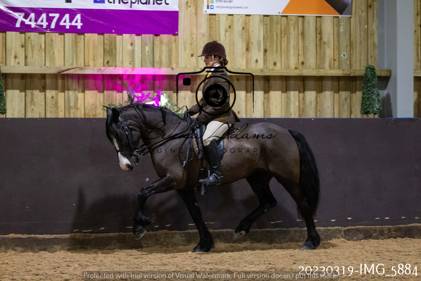 Home Farm Showing 19th March (Ridden) Pt 1