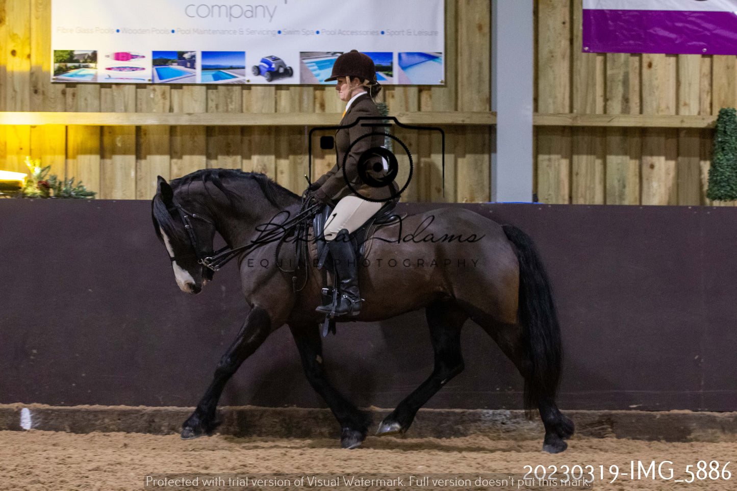 Home Farm Showing 19th March (Ridden) Pt 1