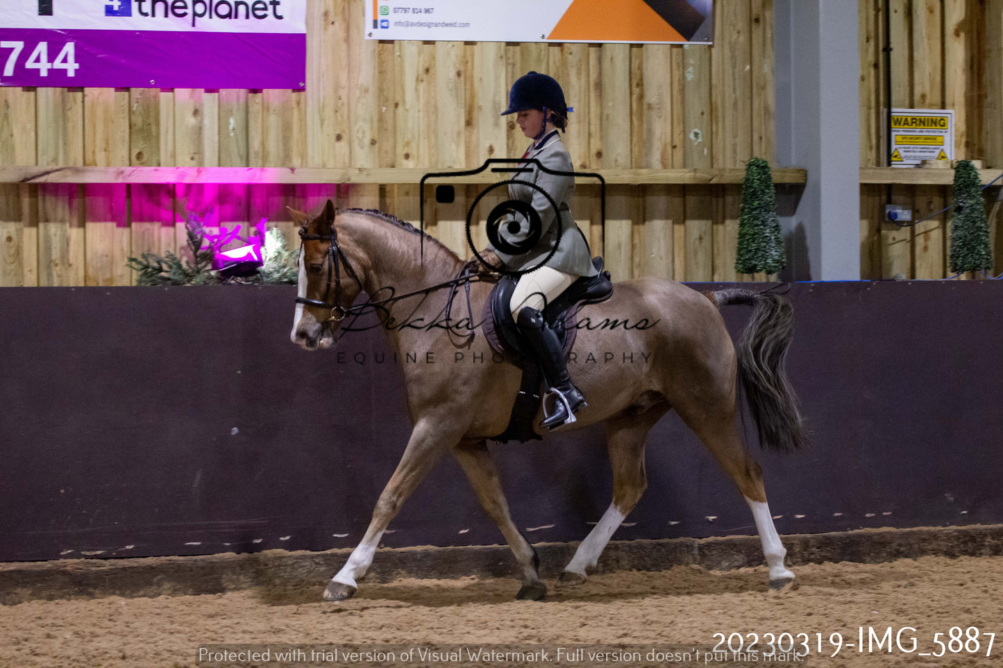 Home Farm Showing 19th March (Ridden) Pt 1