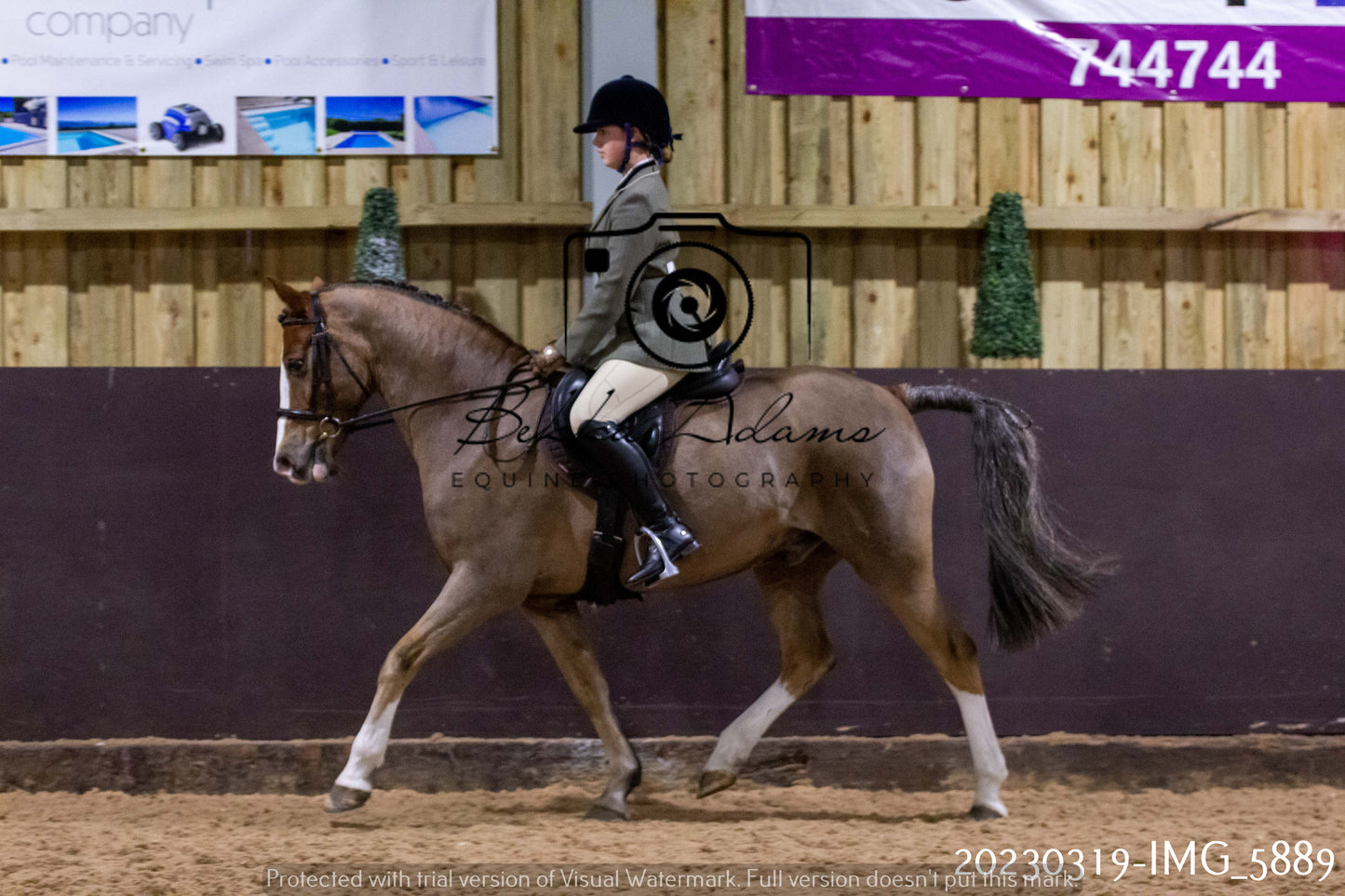 Home Farm Showing 19th March (Ridden) Pt 1