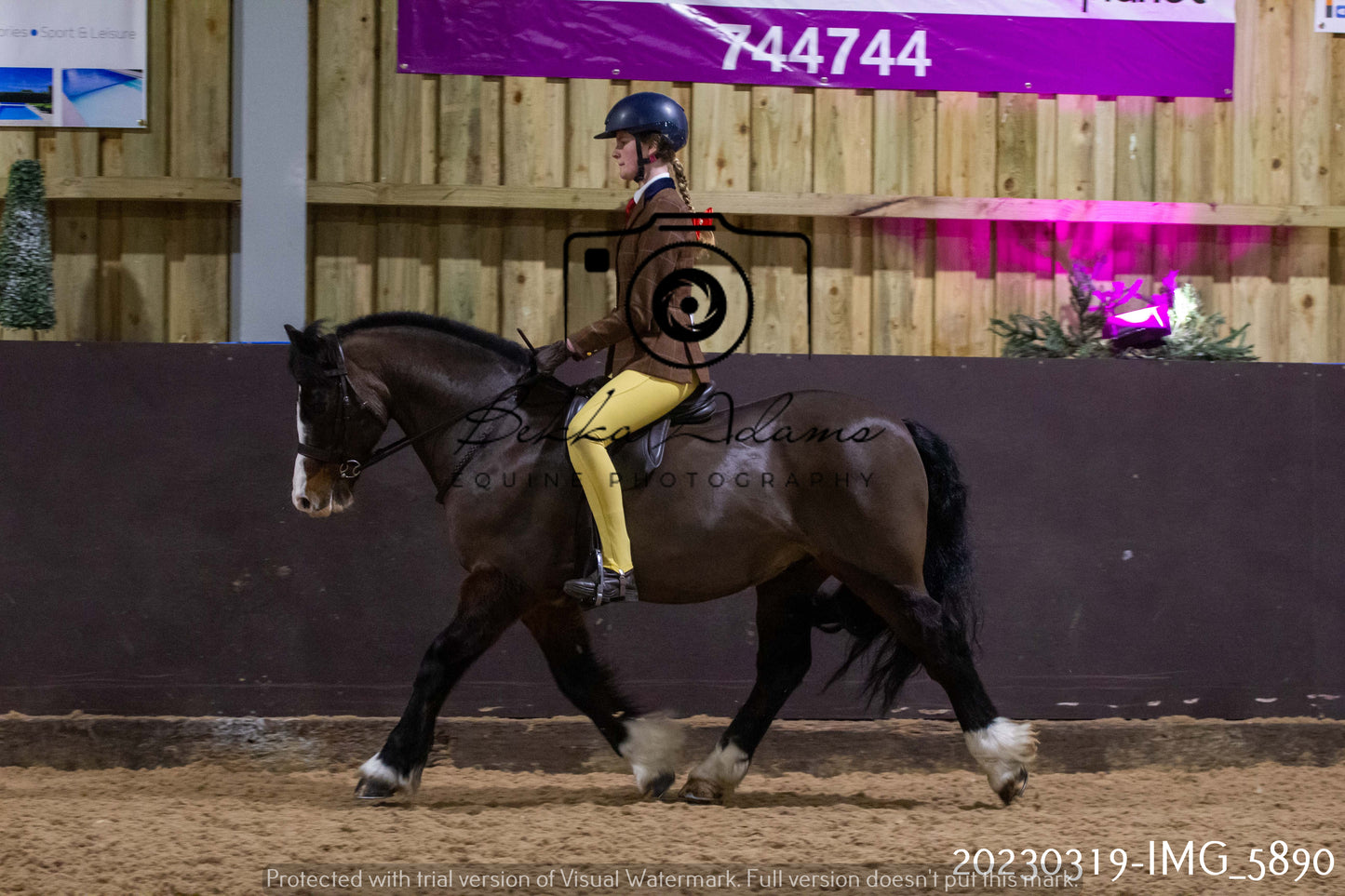 Home Farm Showing 19th March (Ridden) Pt 1