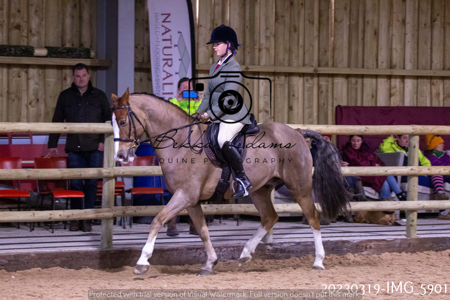 Home Farm Showing 19th March (Ridden) Pt 1