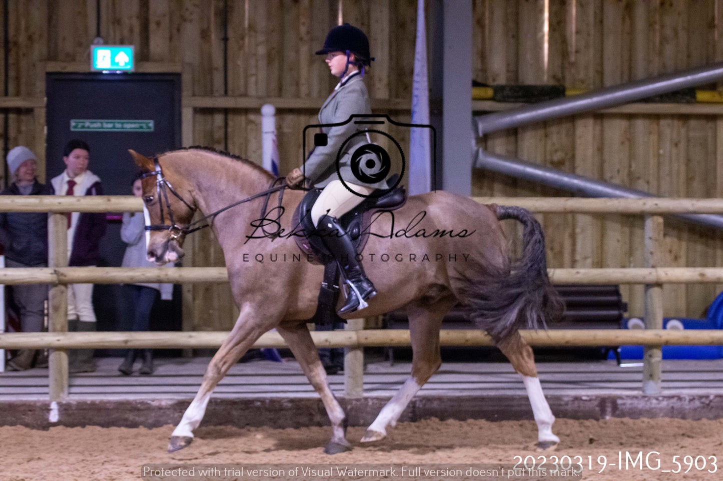 Home Farm Showing 19th March (Ridden) Pt 1