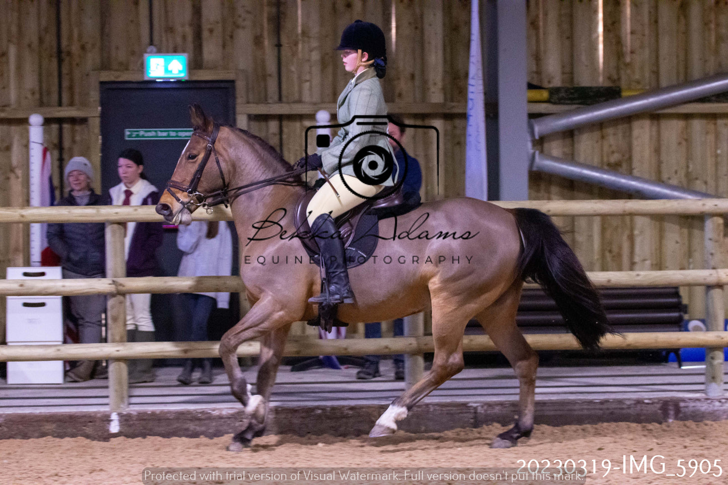 Home Farm Showing 19th March (Ridden) Pt 1
