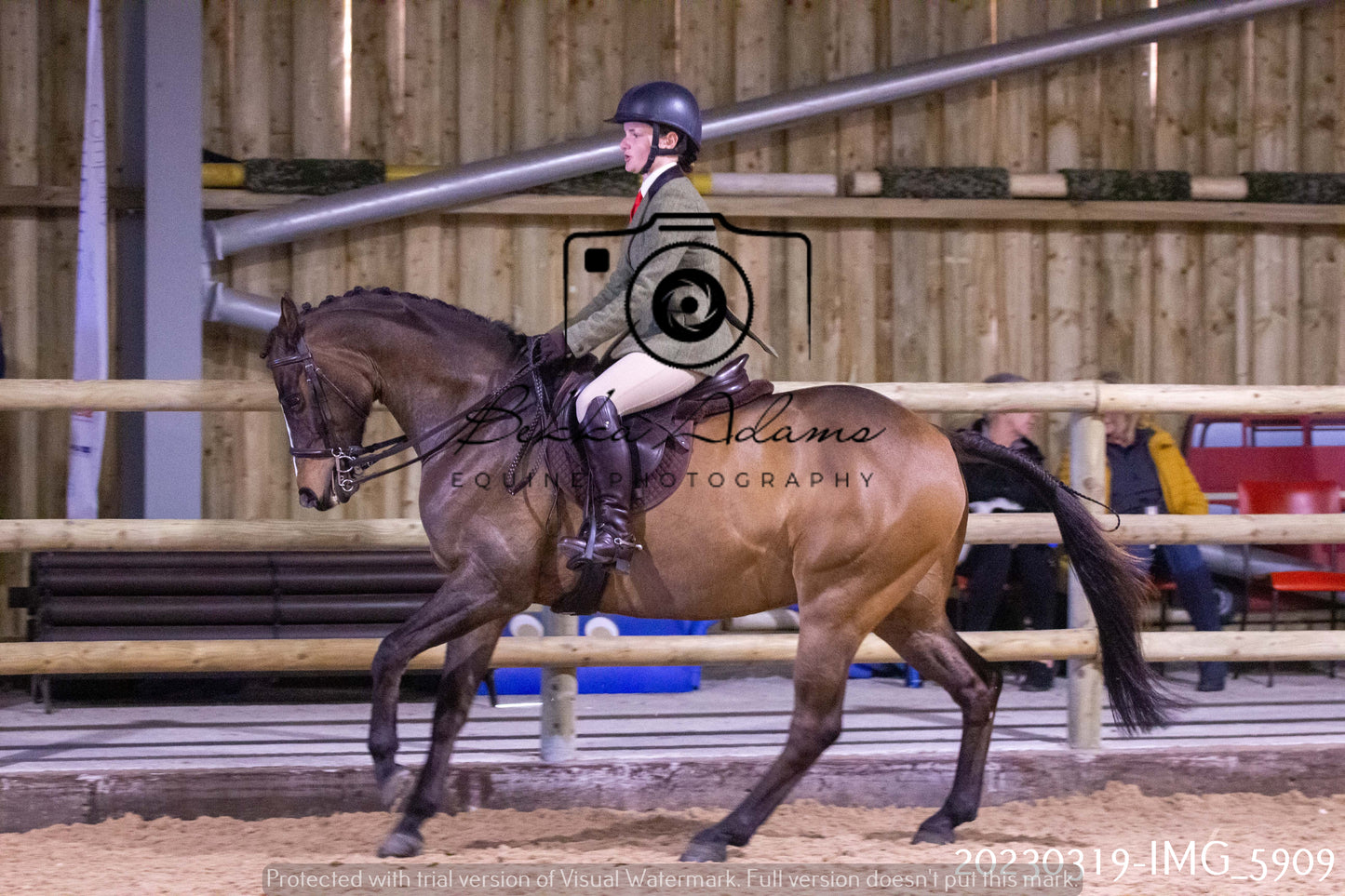 Home Farm Showing 19th March (Ridden) Pt 1