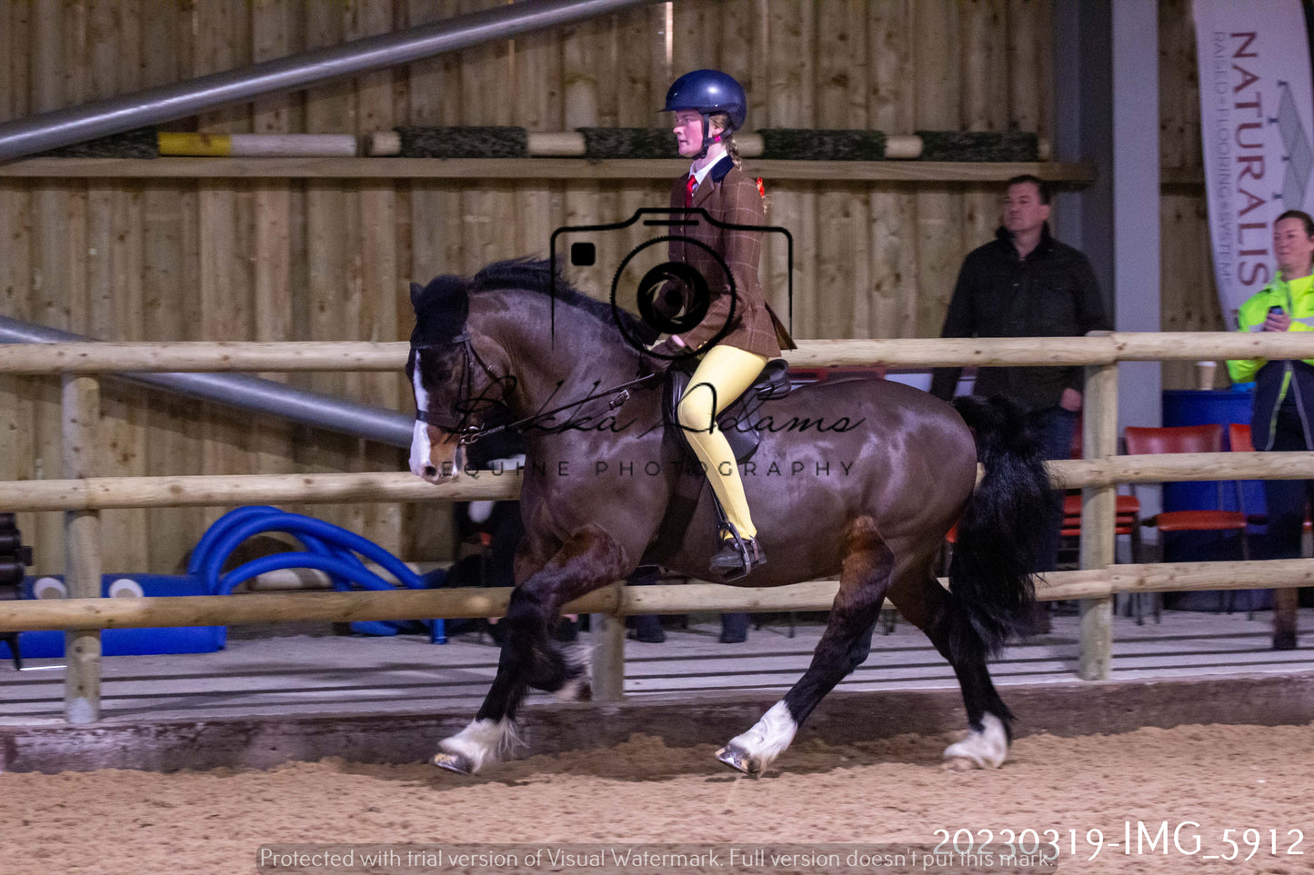 Home Farm Showing 19th March (Ridden) Pt 1