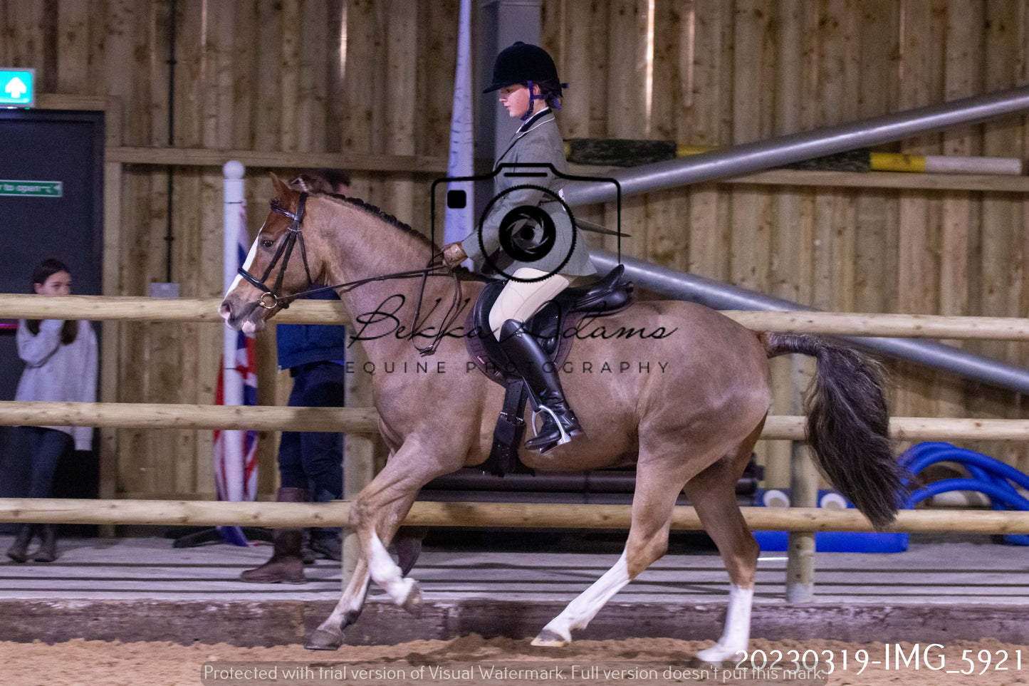 Home Farm Showing 19th March (Ridden) Pt 1